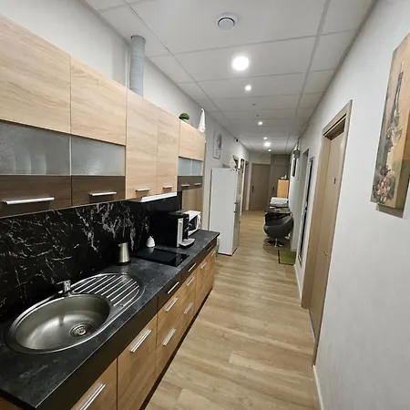 Kauno Apartamentai King Size Bed * Kaunas